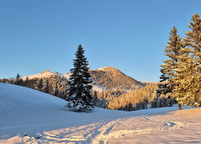 Alpehytte Pod Smreko *